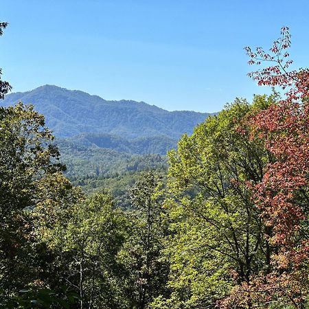 Stunning Views, Superb Atmosphere, Modern Amenities, In The Middle Of Nature Bryson City Exterior photo